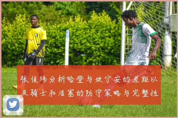 张佳玮分析哈登与坎宁安的差距以及骑士和活塞的防守策略与完整性